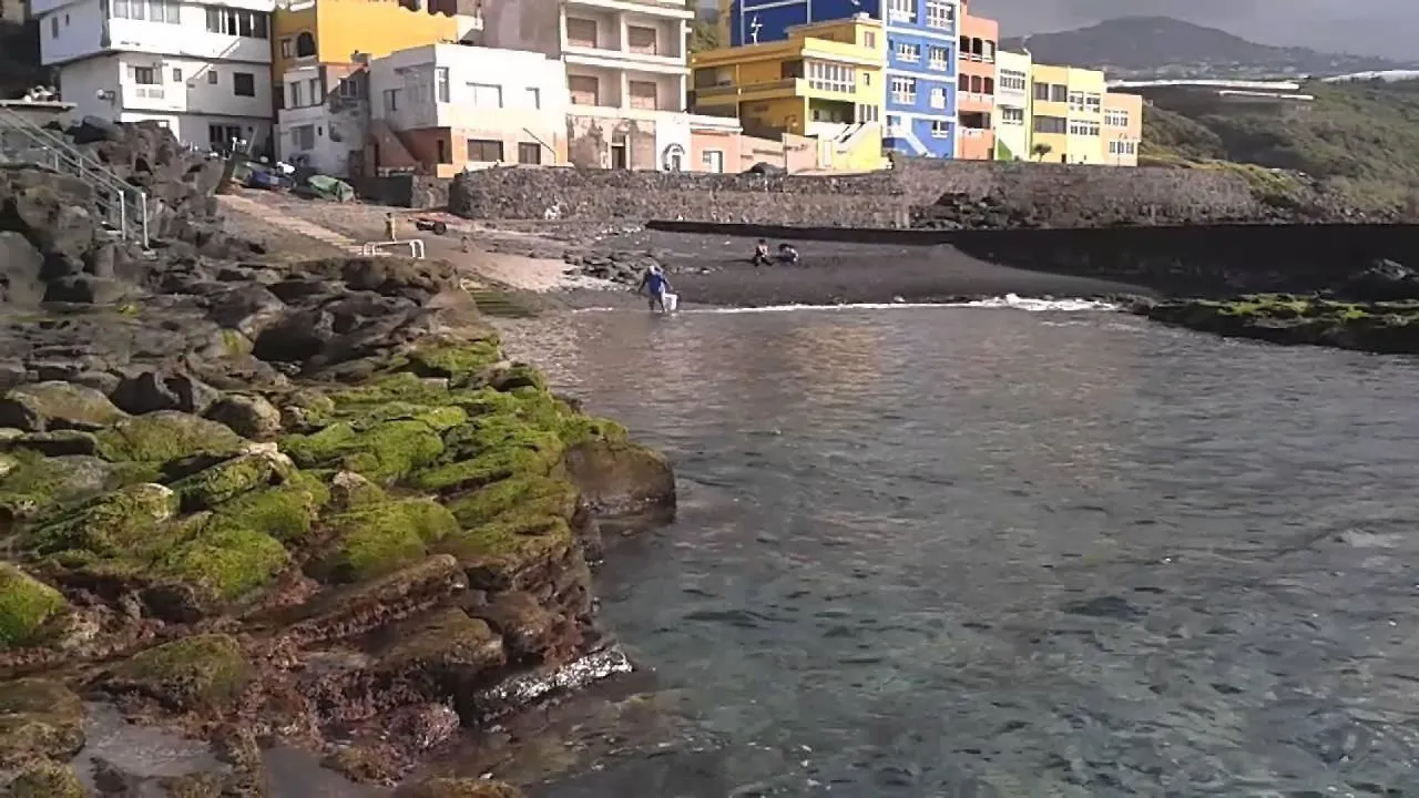 Valle, montañas y mar cristalino La Laguna  Apartamento La Laguna (Tenerife)